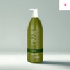 Rome Nourishing Pregnancy Shampoo 1L x 1 Piece Capacity /