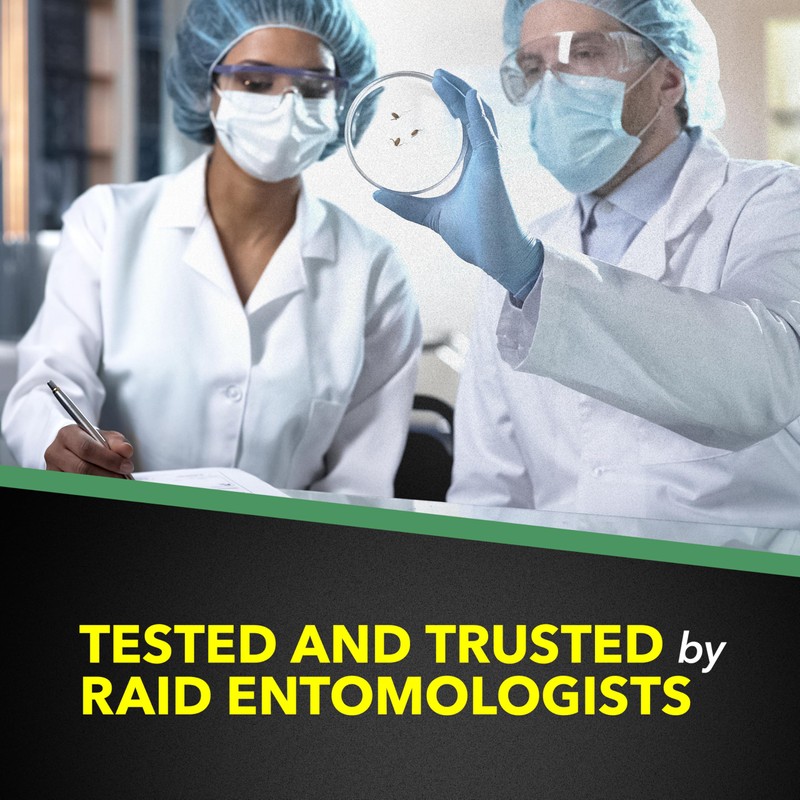 Raid House & Garden Bug Killer Aerosol Kills Bugs on