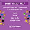 Kar’s Nuts Sweet ‘N Salty Trail Mix, 8 oz Resealable