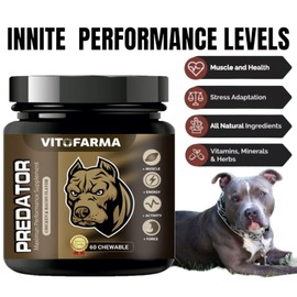 Vitofarma PREDATOR 60 CHEW MUSCLE BUILDER FOR DOGS | CANINE NUTRICIONAL SUPPLEMENT FOR DOG