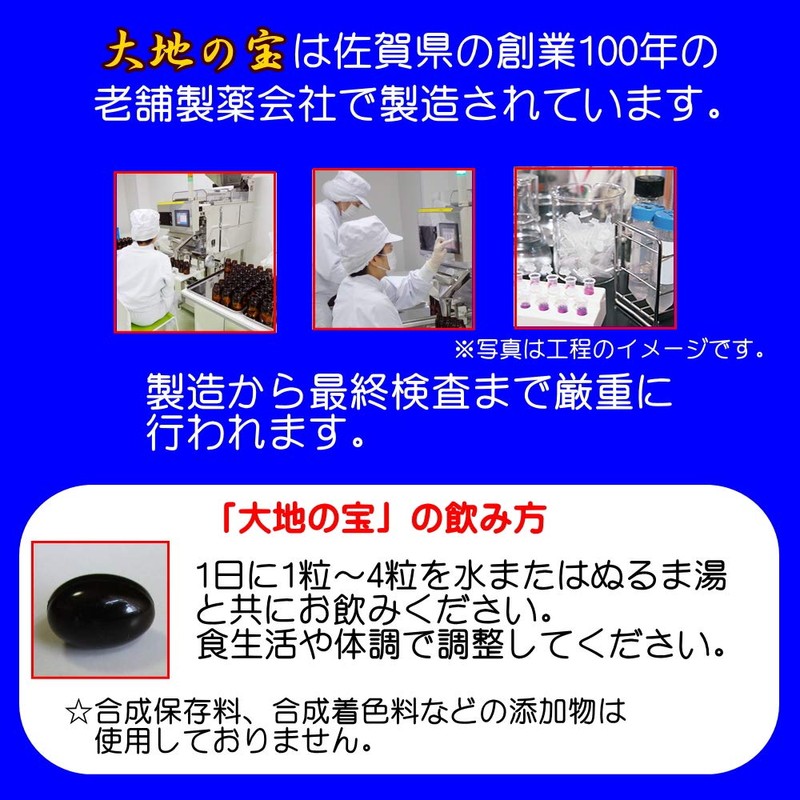 黒 にんにく卵黄 黒酢 すっぽん 120粒 大地の宝 国産 無臭 熟成 黒酢にんにく