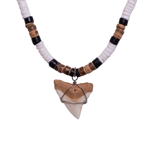 BlueRica Shark Tooth on Puka and Coconut Shell Beads Necklace