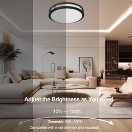 OOWOLF 16inch 48W LED Flush Mount Ceiling Light Fixture Dimmable, Super Bright Matte Black Ceiling Light 4800LM 5000K Daylight White 480W Equivalent, Ceiling Lamp for Bedroom, Kitchen, Office, 2-Pack