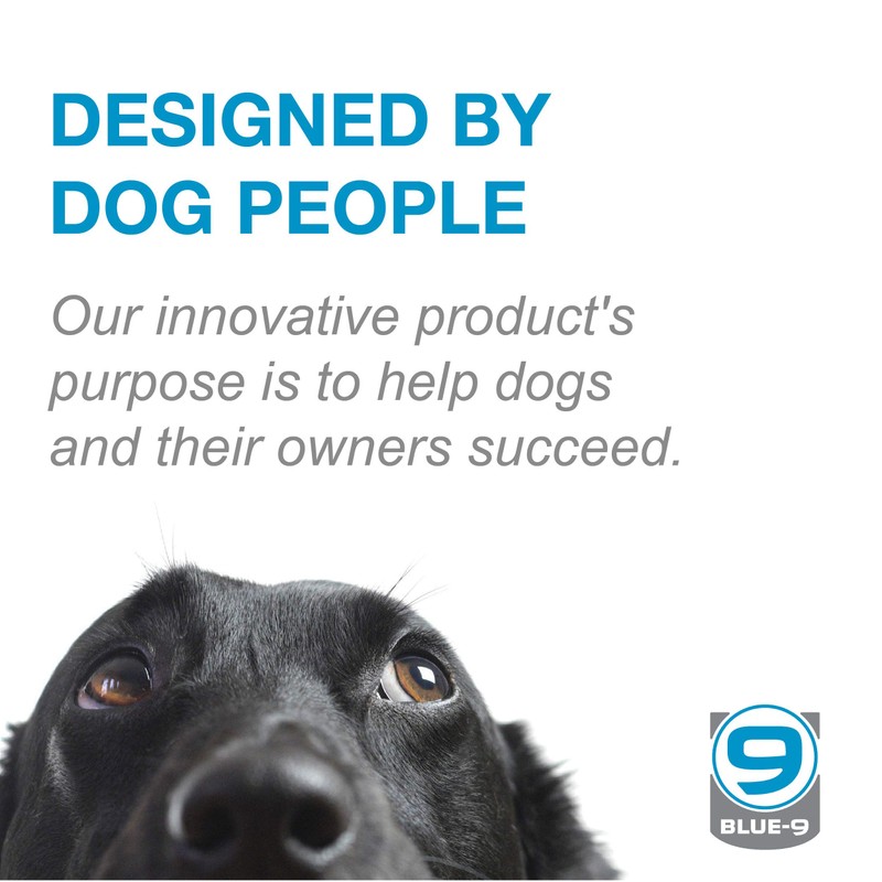 Blue-9 Multi-Function Hands Free Dog Leash, Double Attachment 6 Foot