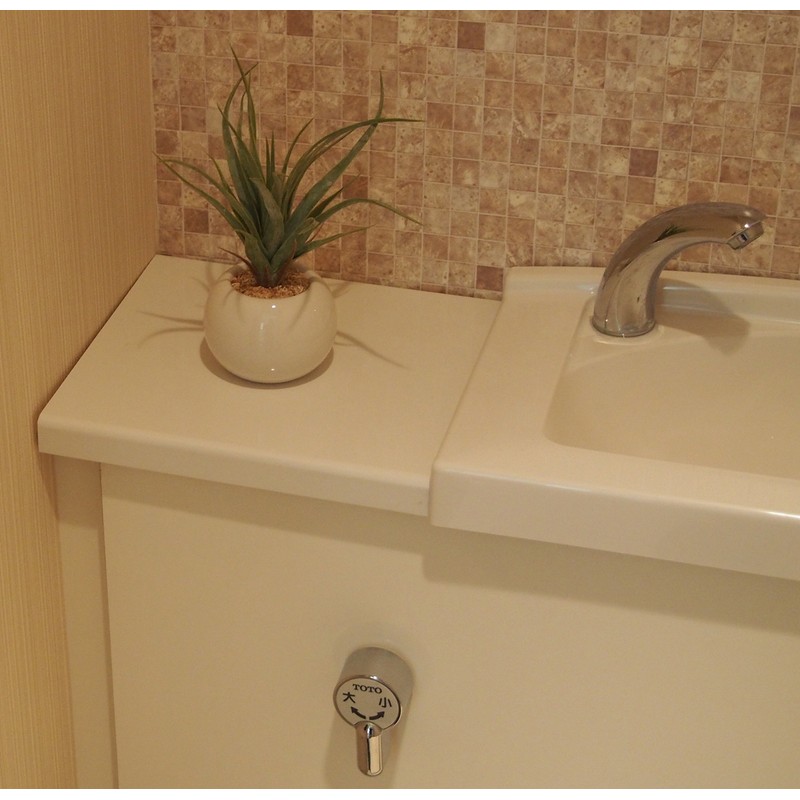 Cute Round Photocatalyst Houseplant