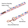 Lionet Paws Easter Day Dog Leash Matching Dog Collar for