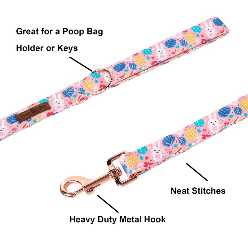 Lionet Paws Easter Day Dog Leash Matching Dog Collar for