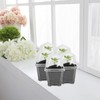 EBaokuup 30PCS Clear Plant Nursery Pots with Humidity Dome -