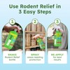 BugMD Peppermint Oil Spray for Rodents - 16oz Mouse Repellent