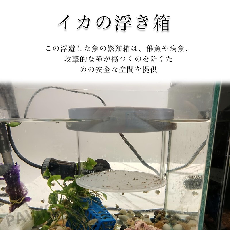 PAVIKE Floating Breeder Box for Fish, Floating Fish Breeding Box,
