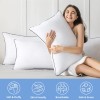 Jollyvogue Pillows King Size Set of 4 Cooling and Supportive