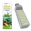 The Bio Dude 6" Glow & Grow Best Plant Growth