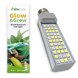 The Bio Dude 6" Glow & Grow Best Plant Growth Reptile & Amphibian LED Bulb for terrariums