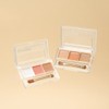 Cezanne [Cezanne] Palette Concealer High Cover 4.5g / [세잔느] 팔레트
