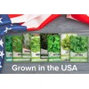 Gardeners Basics, 8 Leafy Garden Greens Seeds for Planting Individual