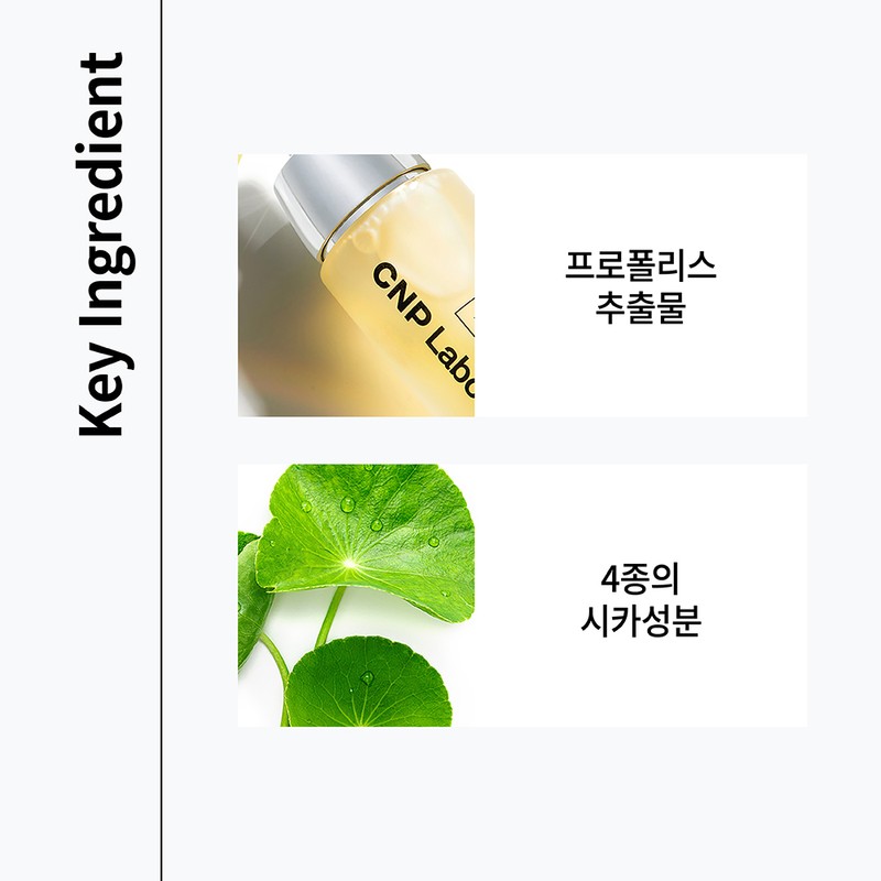 LG Household & Health Care Derma Beauty CNP Chae &