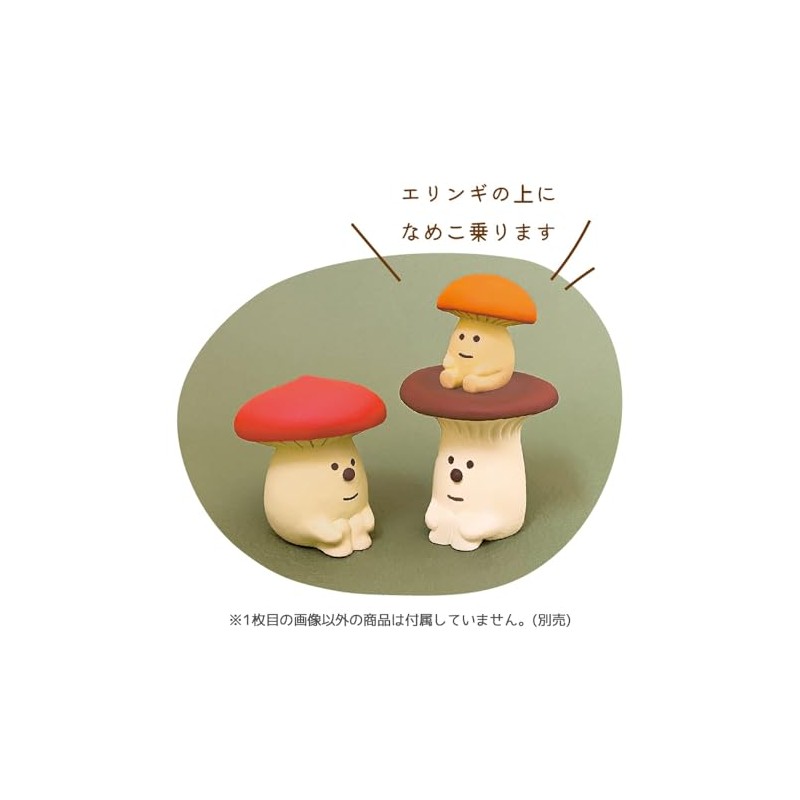 Deco Corporation Concombre ZCB-35331 Eringi Eringi Size (W 3.3 x