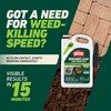 Ortho GroundClear Weed and Grass Killer with Comfort Wand, Kills