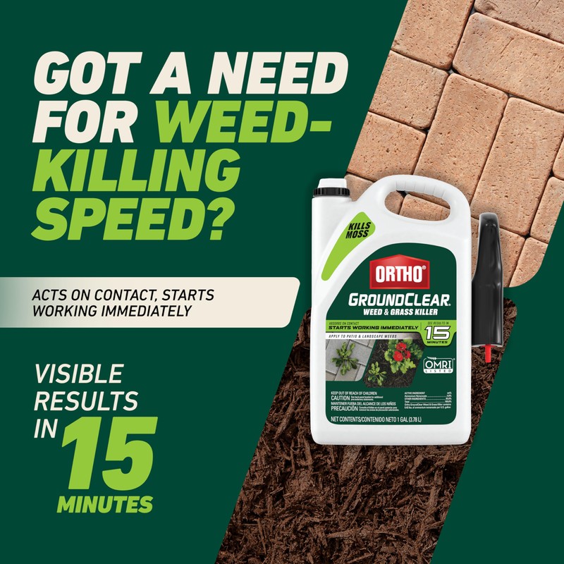 Ortho GroundClear Weed and Grass Killer with Comfort Wand, Kills