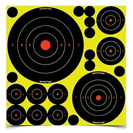 Birchwood Casey® Shoot - N - C® Self - Adhesive Target Variety Pack (5 sheets)