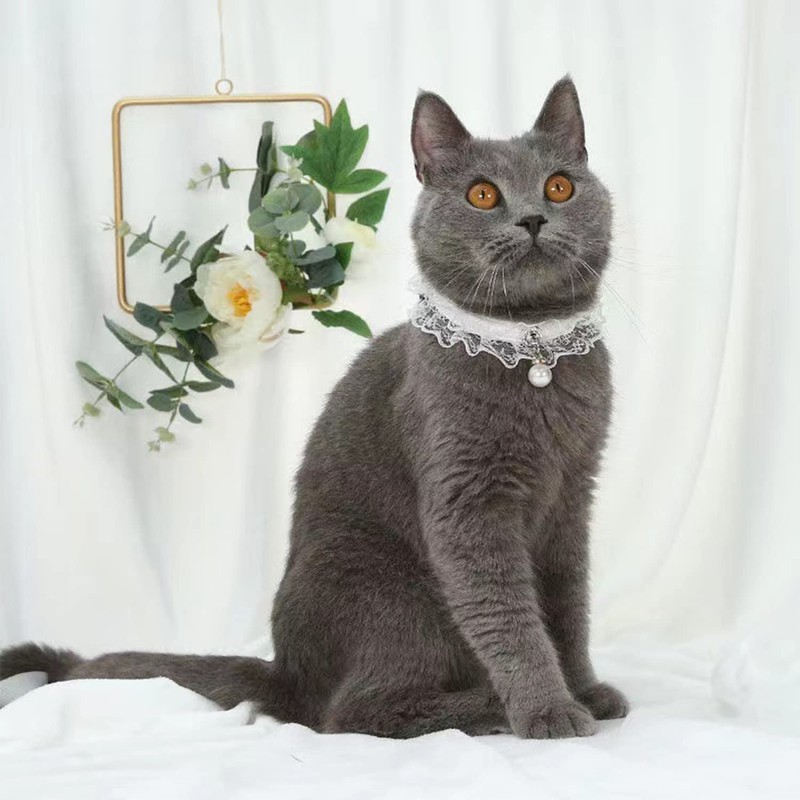 Coollooda Cat Collar, Cat Collar, Lace, White, PU Leather, Cute,