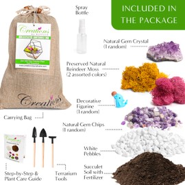 Creations by Nathalie – Premium Small DIY Succulent, Cactus, or Air Plant Terrarium Kit with Soil, Moss, Pebbles, Terrarium Tools, Amethyst Gem, Crystal Chips - Handmade in USA