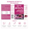 Echinacea Benefit Active Flu, 20 compresse