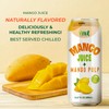 Vinut 100% Mango Juice with Pulp (16.57 fl oz, Pack