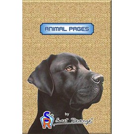 ANIMAL PAGES – Illustrated sheets for letters: PÁGINAS CON ANIMALES – Hojas ilustradas para cartas
