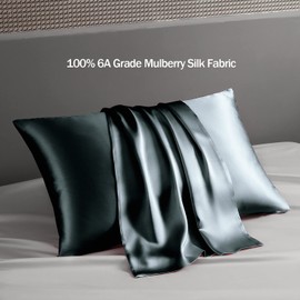 HOATZIN - Both Sides 19 mm Silk Pillow Cases 100% Mulberry Dark Gray Silk Pillow Case - Queen Size - 1 Pack - (20 X 30 inches) Hidden Zipper for Hair and Skin Packed in Gift Box
