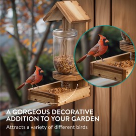 Navaris Bird Feeder with Glass Bottle - Hanging Glass Hummingbird Feeders for Outdoors - Sturdy Pine Wood & Removable Glass Bottle for Easy Refilling - Plastic-Free & Eco-Friendly