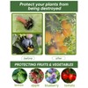 4 Pack Large Fruit Tree Netting, 5.9 x 5.9 Ft