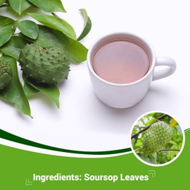 Soursop Leaf Herbal Tea (Graviola) - Caffeine & Sugar Free, 120 Count