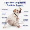 PetLab Co. PetLab Co. Probiotics for Dogs, Support Gut Health,