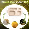 Tanlade 8 Pcs Large Unbreakable Divided Plates 12 Inch Wheat
