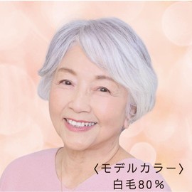 Soft Gray Hair Piece Ciel Miki Part Wig Heat Resistant Short With Skin (80% White Hair)