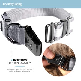 Country Living by Silver Paw Light Up Dog Collars, LED USB Rechargeable Dog Collar, Waterproof & Durable (Grey, L)