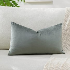 Artscope Luxury Velvet Cushion Covers Super Soft Decorative Throw Pillow Covers Case Lumbar Cushion Cases for Sofa Couch Bedroom Car Decor 30x50cm Dark Gray