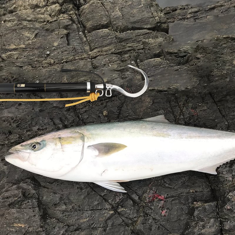 SANLIKE ギャフ 大魚釣り ステンレスギャフ フック先端 クエ ヒラマサ 青物 石鯛 磯釣り