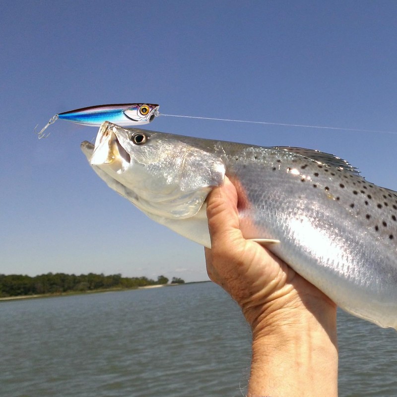 Bass Fishing Lures, Realistic Fishing Bait Spinner Lures, 24X Swimbait