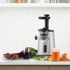 Omega Juicer Cold Press 365 Vertical Slow Masticating Extractor for