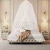 2 Pcs Mosquito Net for Bed,Bed Canopy for Double Bed