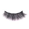 Fake Eyelashes 10 Pairs of False Lashes with Lash Applicator