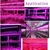 LED Plant Growth Light String 5050 SMD LED Light Waterproof