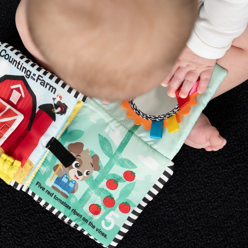 Baby Einstein Baby Einstein Farm Explorers Counting at The Farm