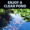 CrystalClear OneFix Beneficial Bio Clarifier Treatment for Clear Water Gardens,