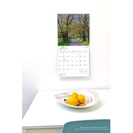 Yellow Labrador 2020 Calendar