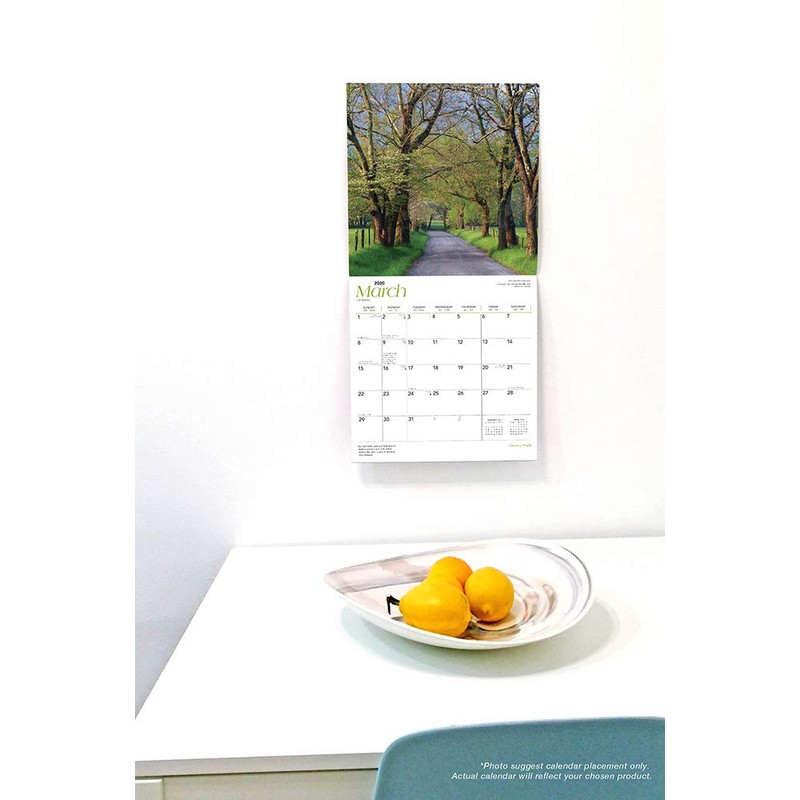 Yellow Labrador 2020 Calendar