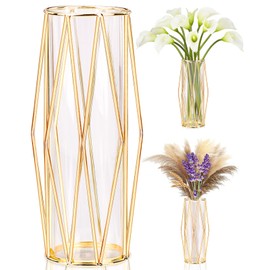Gold Vases Decoration for Pampas Grass, Scandinavian High Floor Vase with Metal Frame for Wedding Centrepiece or Desk Office, 28 cm High