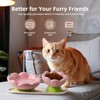 DIF DECO Ceramic Raised Cat Bowl, Pink Elevated Cat Food